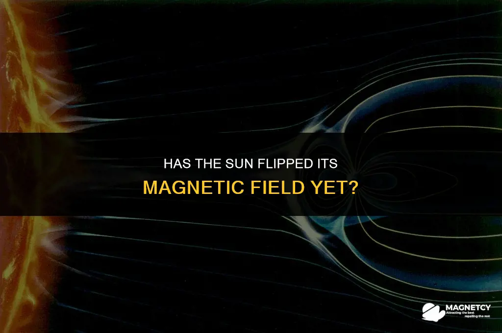 has the sun flip magnetic field yet