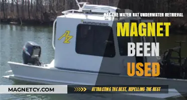 Water Rat Magnet: Real-World Use in Underwater Retrieval Explored