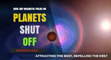 Could Planetary Magnetic Fields Cease to Exist? Exploring the Possibilities