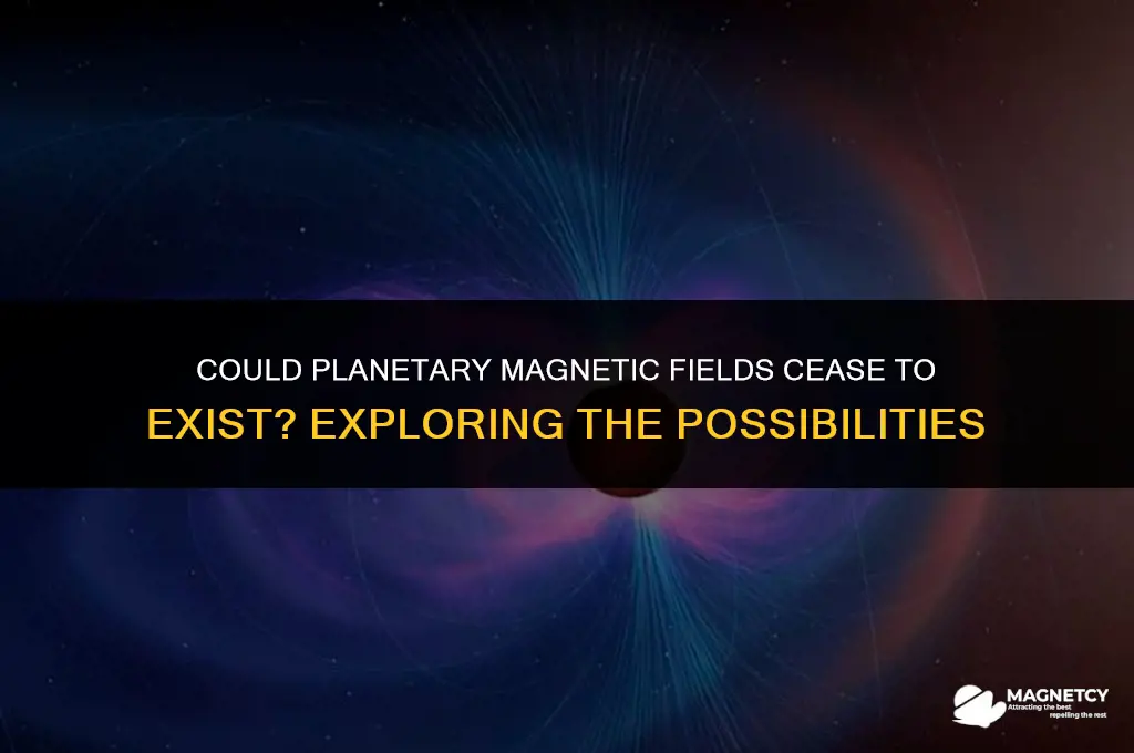 have any magnetic fields on planets shut off