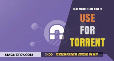 Using Magnet Links for Torrent Downloads: A Step-by-Step Guide