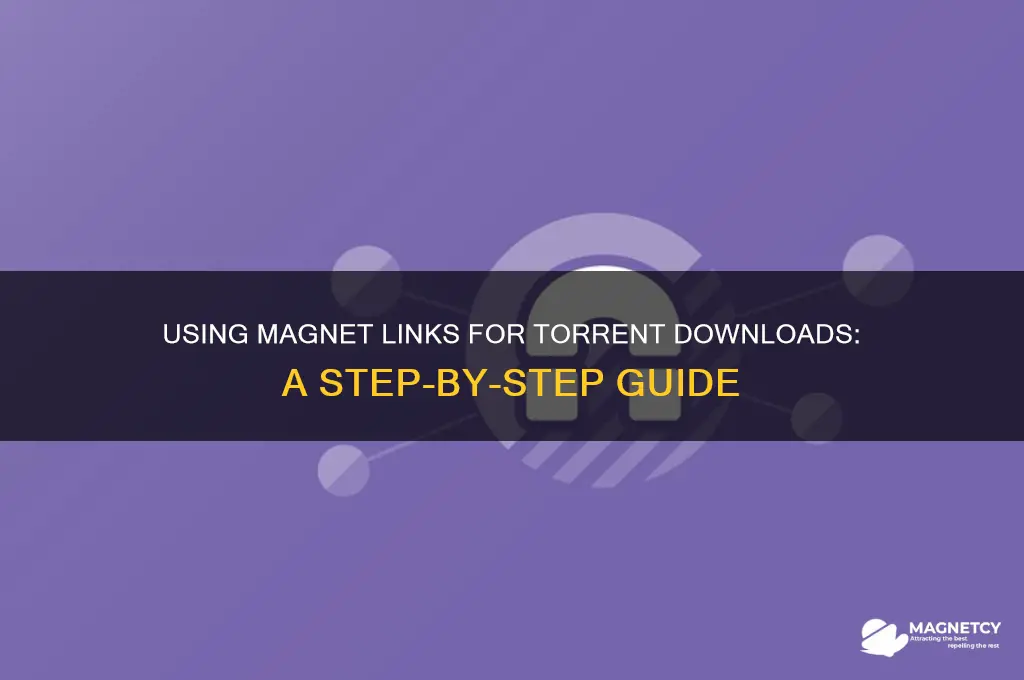 have magnet link how to use for torrent