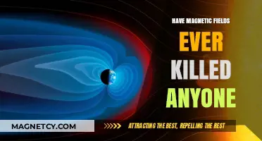 Fatal Attractions: The Deadly Side of Magnetic Fields