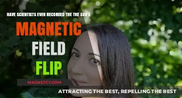 Reversal Revelations: Unveiling the Sun's Magnetic Field Flip
