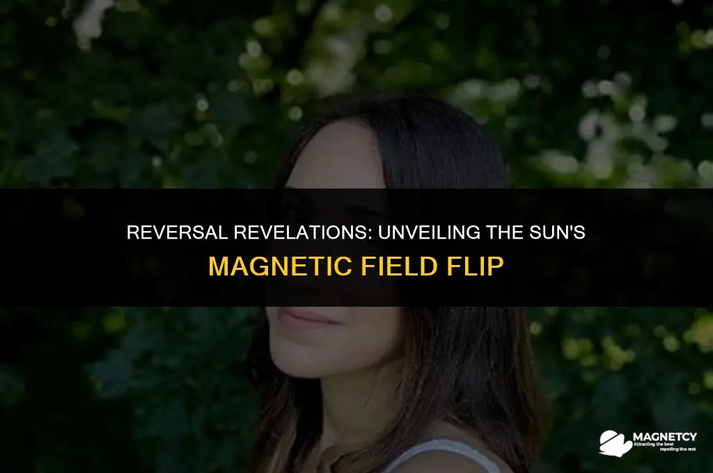 have scientists ever recorded the the sun
