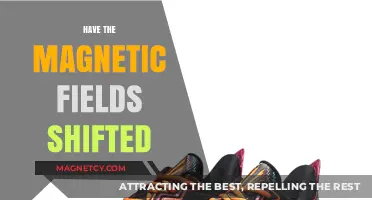 Exploring the Shifts in Earth's Magnetic Fields: What You Need to Know