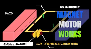 Exploring the Inner Workings of DC Permanent Magnet Motors