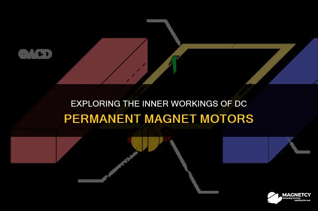 how a dc permanent magnet motor works