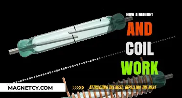 Exploring the Fundamentals: How Magnets and Coils Interact