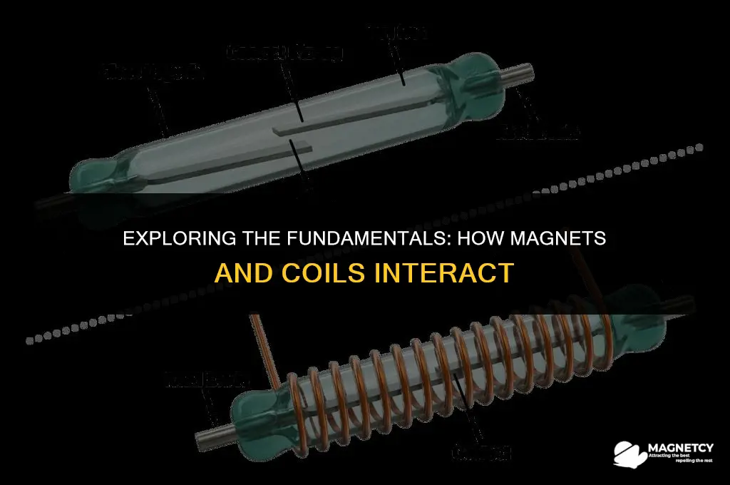 how a magnet and coil work