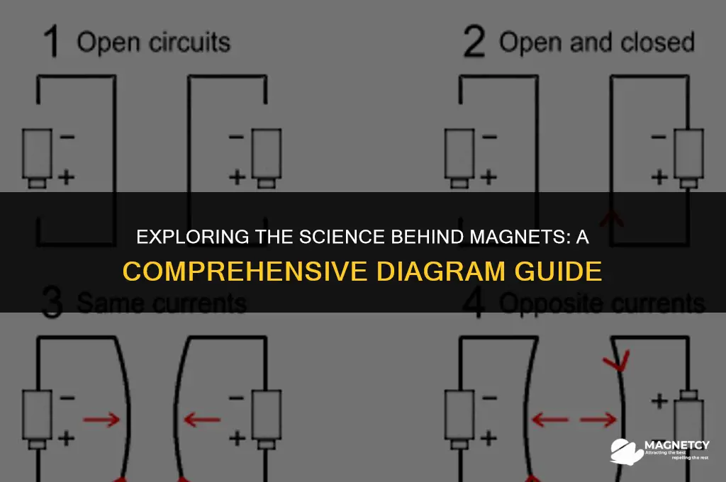 how a magnet works diagram
