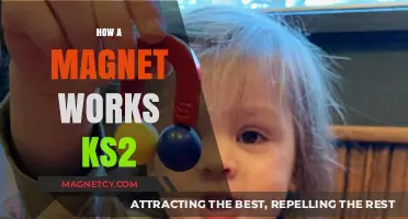 Exploring Magnetism: How Magnets Work for KS2 Students