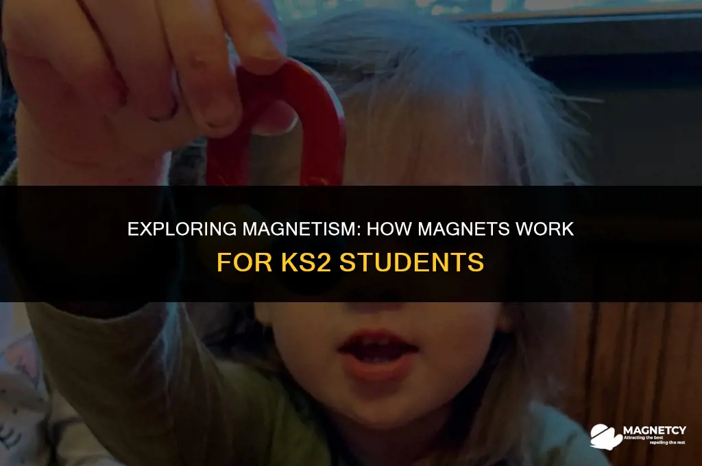 how a magnet works ks2