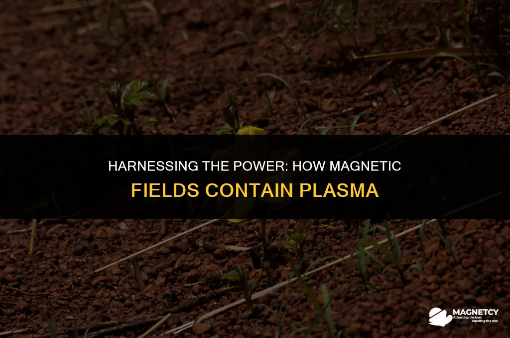 how a magnetic field contains plasma