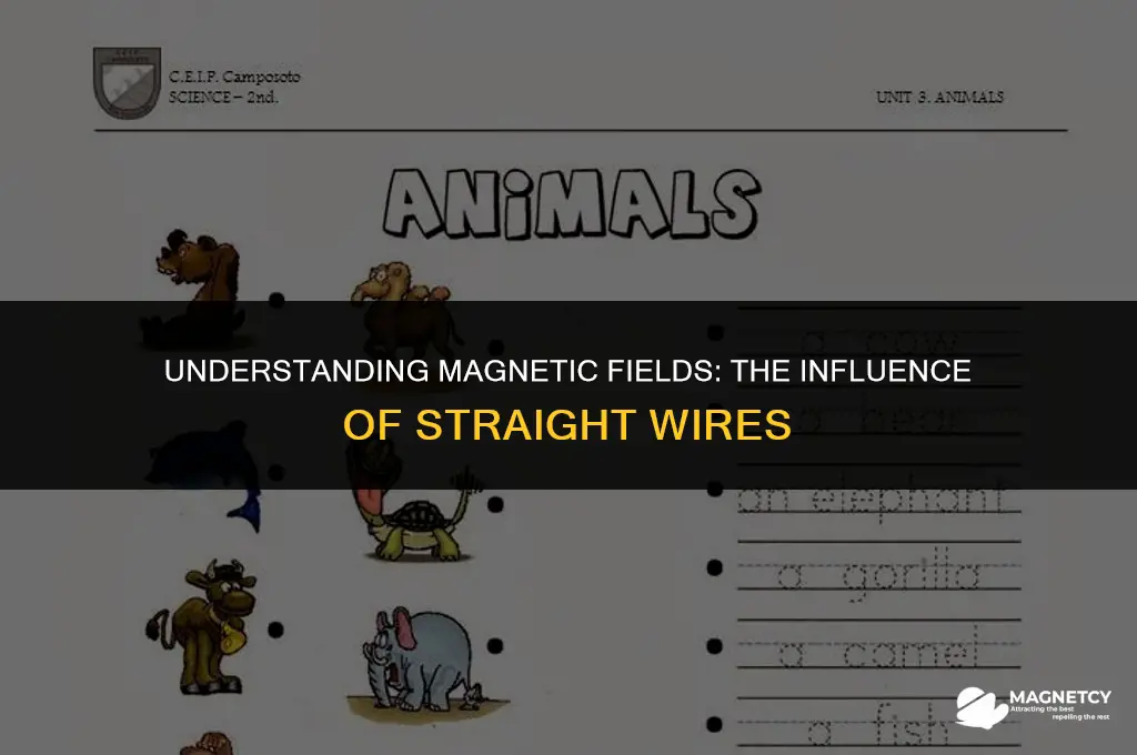 how a magnetic field due to straight wire