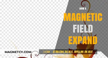 Unveiling the Mysteries: How Magnetic Fields Expand and Influence Our Universe