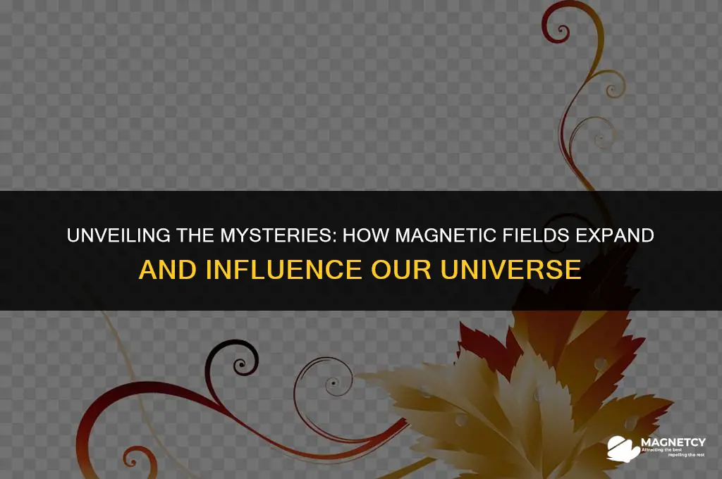 how a magnetic field expand