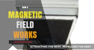 Unveiling the Mysteries: How Magnetic Fields Shape Our World