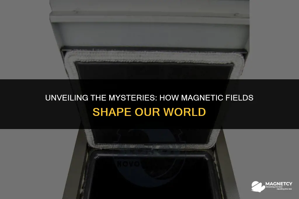 how a magnetic field works