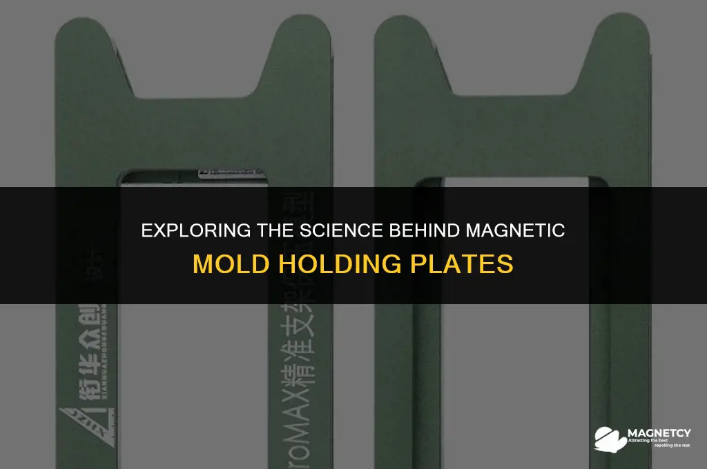 how a magnetic plate for holding molds up work
