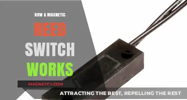 Exploring the Inner Workings of Magnetic Reed Switches