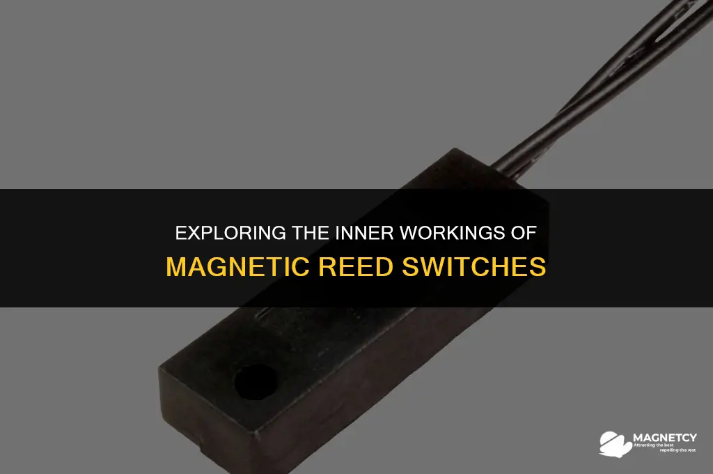 how a magnetic reed switch works