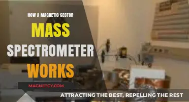 Unveiling the Mysteries of Magnetic Sector Mass Spectrometry