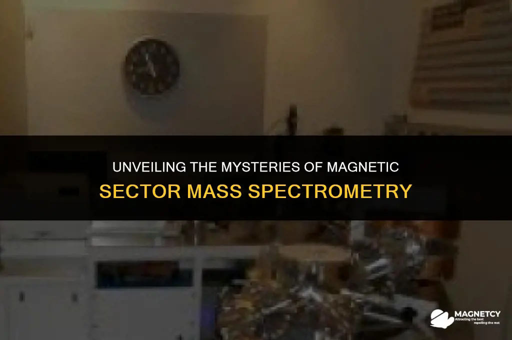 how a magnetic sector mass spectrometer works