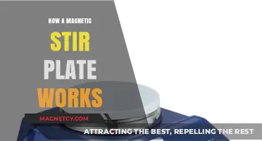 Understanding the Science Behind Magnetic Stir Plates
