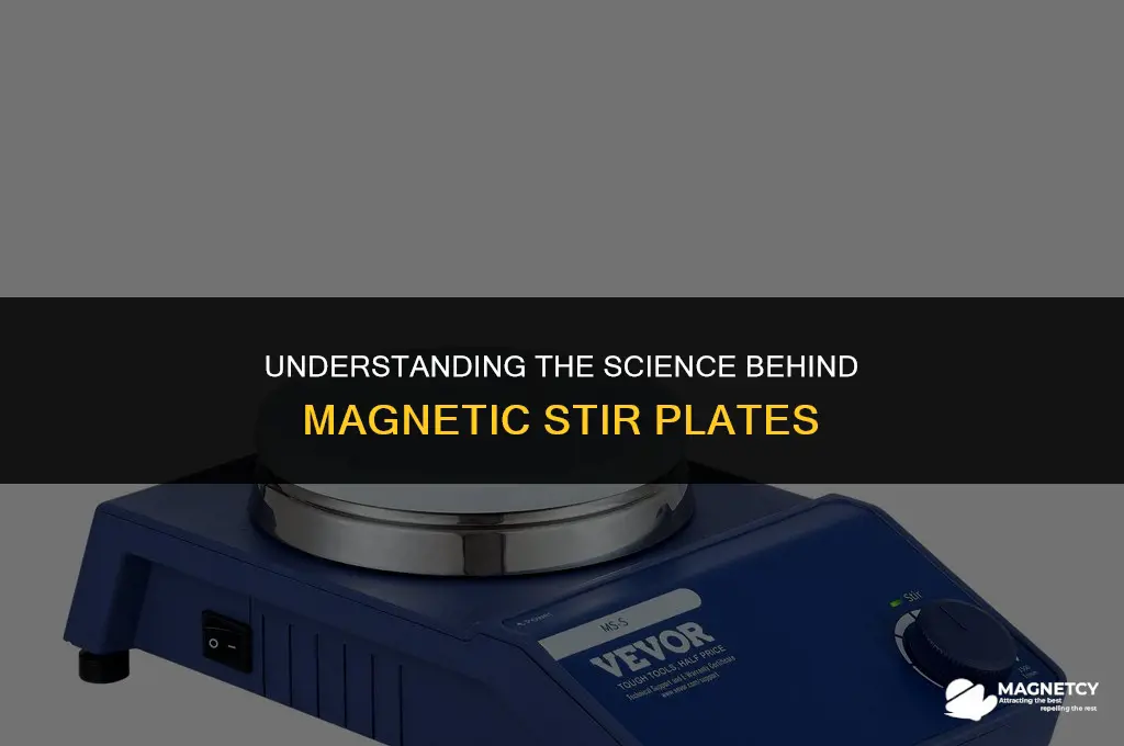 how a magnetic stir plate works