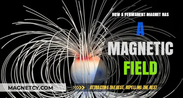 Exploring the Invisible Force: How Permanent Magnets Create Magnetic Fields