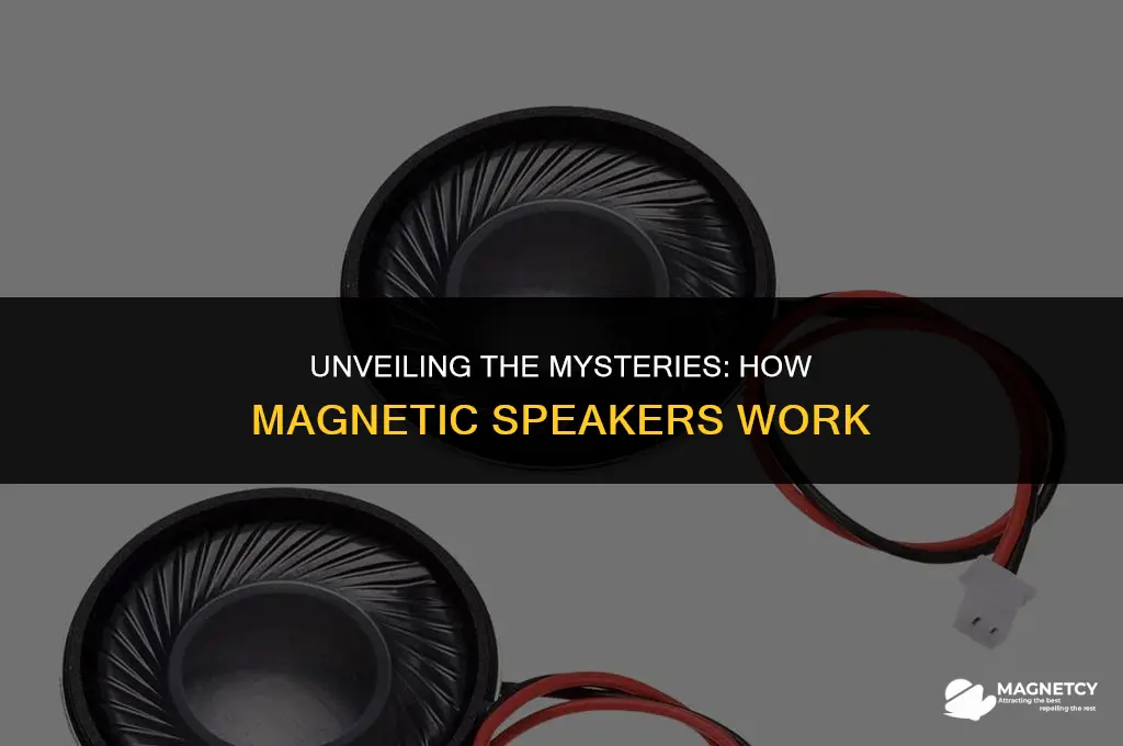 how a speaker works magnet
