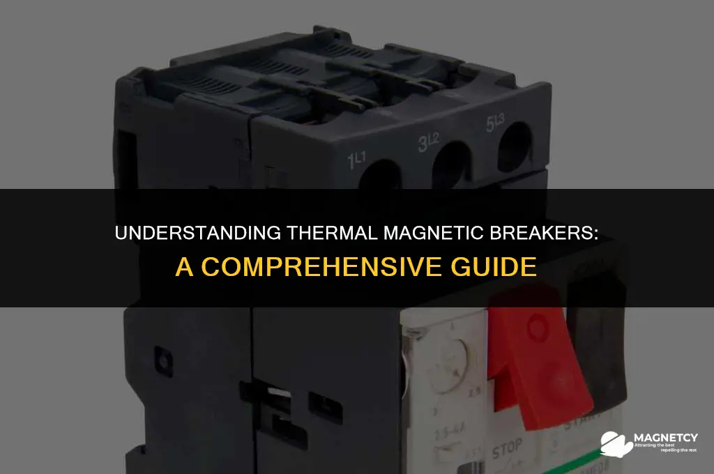 how a thermal magnetic breaker works