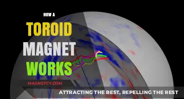 Unveiling the Mysteries of Toroidal Magnets: A Comprehensive Guide