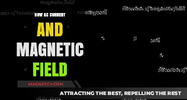 Exploring the Dynamic Relationship Between AC Current and Magnetic Fields