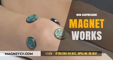 Exploring the Science Behind Acupressure Magnets: A Comprehensive Guide