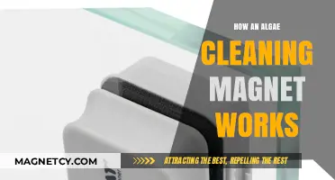 Unveiling the Magic: How Algae Cleaning Magnets Revolutionize Aquarium Maintenance