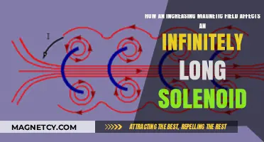 Exploring the Impact of Growing Magnetic Fields on Infinite Solenoids