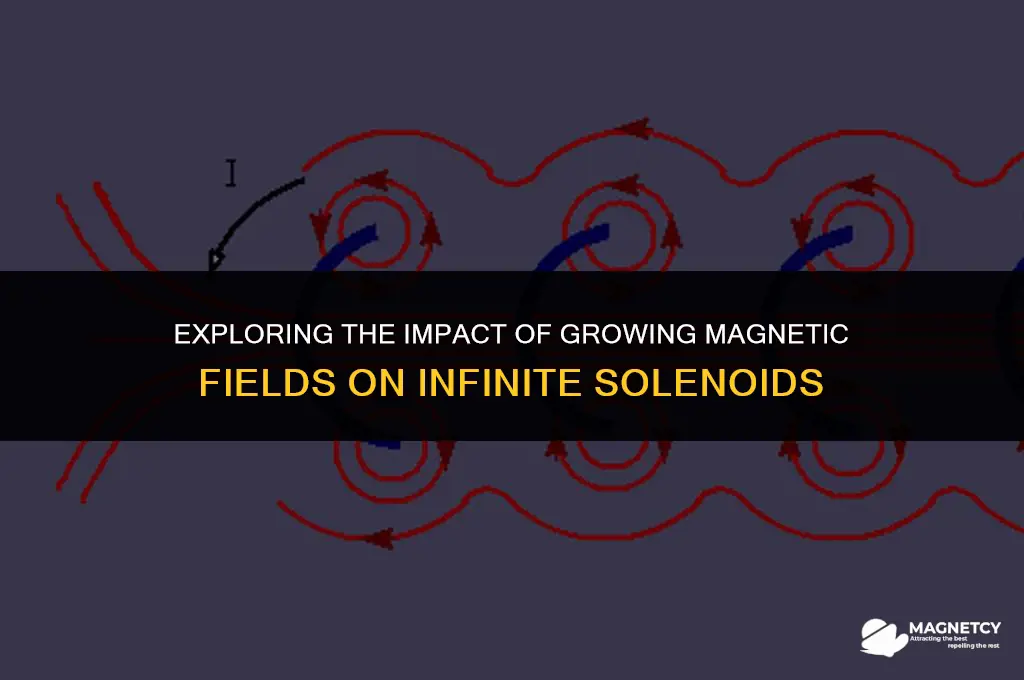 how an increasing magnetic field affects an infinitely long solenoid