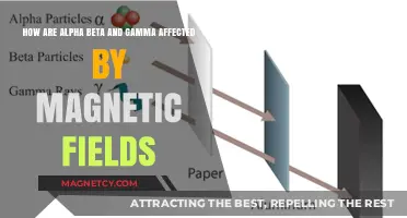 Exploring the Impact of Magnetic Fields on Alpha, Beta, and Gamma Radiation