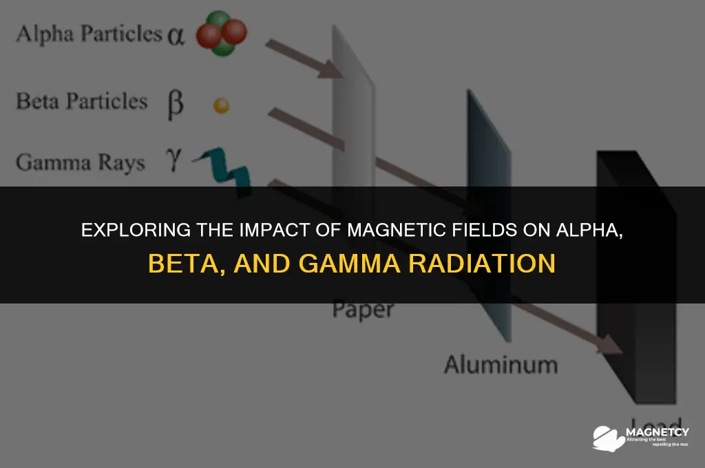 how are alpha beta and gamma affected by magnetic fields