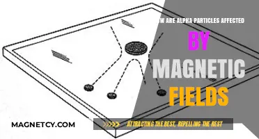 Exploring the Interaction: Alpha Particles and Magnetic Fields