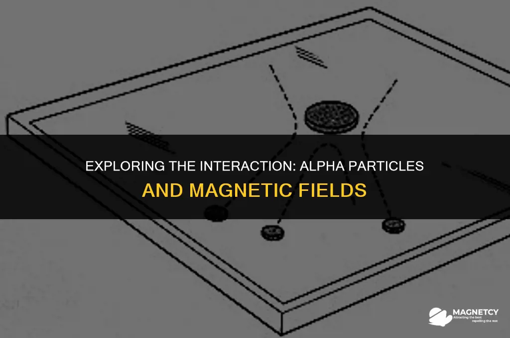 how are alpha particles affected by magnetic fields