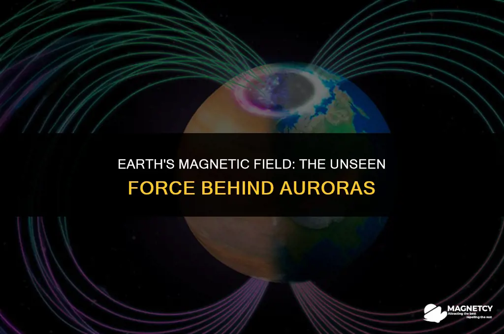 how are auroras related to earth
