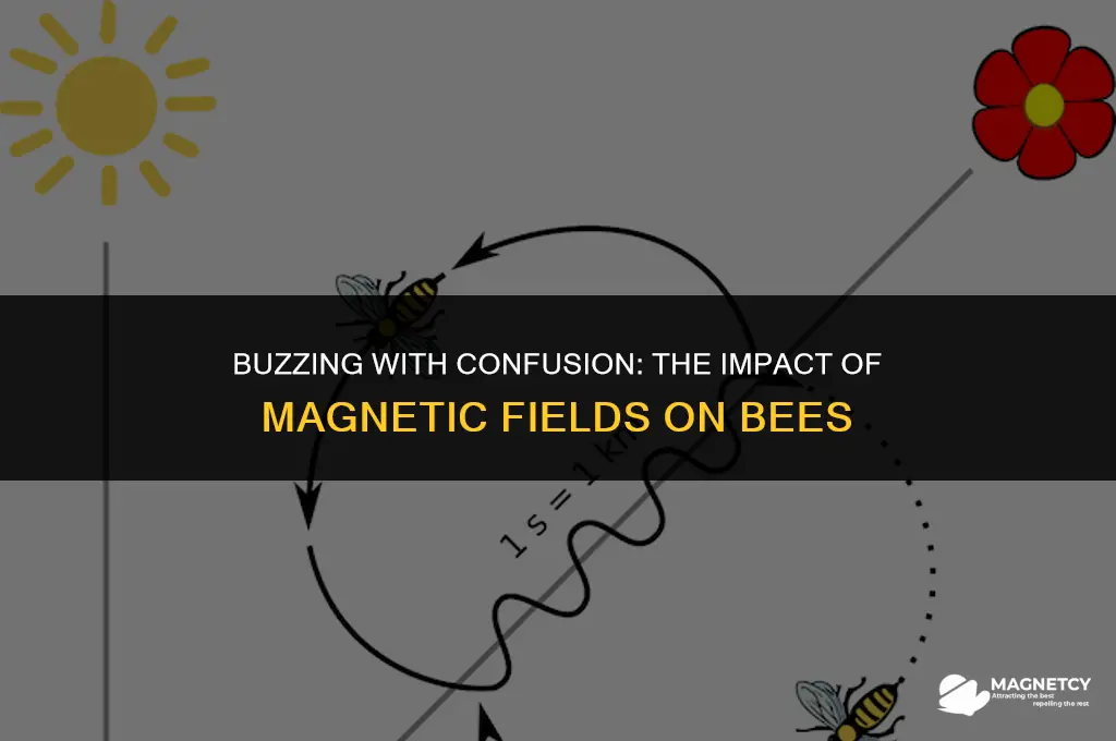 how are bees affected by magnetic fields