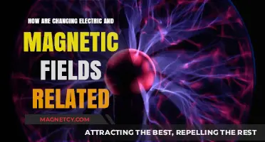 Exploring the Dynamic Interplay Between Electric and Magnetic Fields