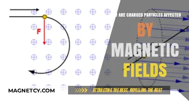 Exploring the Dynamics: Charged Particles in Magnetic Fields