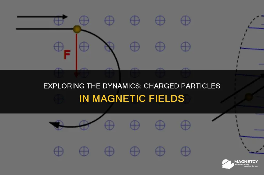 how are charged particles affected by magnetic fields