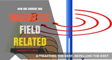 Exploring the Intricate Relationship Between Current and Magnetic Fields