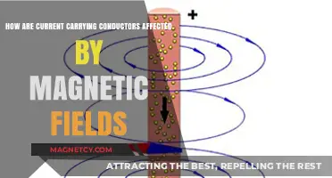 Exploring the Impact of Magnetic Fields on Current-Carrying Conductors